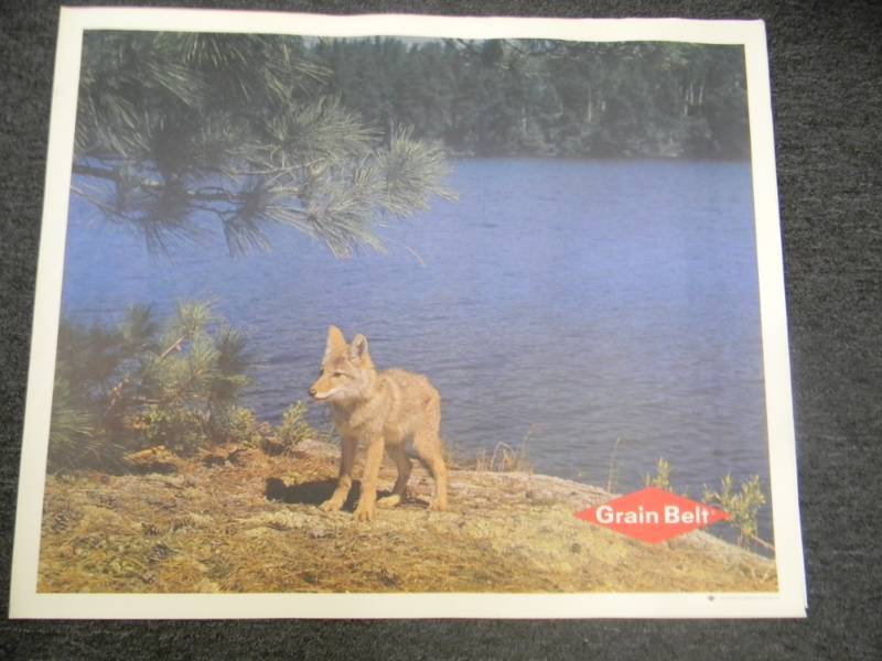 lot 23 image: RARE - VINTAGE GRAIN BELT BEER MPLS. BREWING CO. ADVERTISING PRINT - RARE - APPROX 33 BY 27 ON CANVAS TYPE PAPER - SEE PICTURES