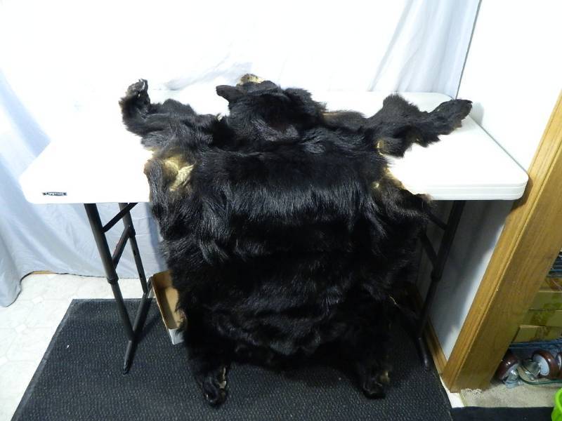 lot 93 image: Real Black Bear Skin  Fur  Pelt