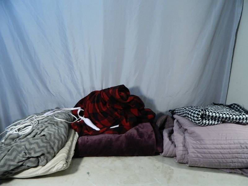 lot 161 image: Heated Blankets and More