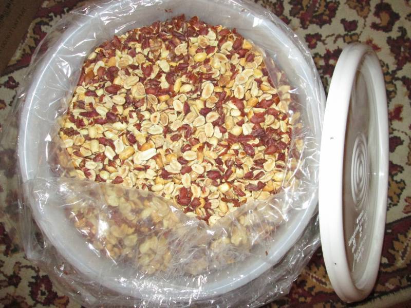 15 Pounds Bucket of Shelled, Lightly Salted Peanuts