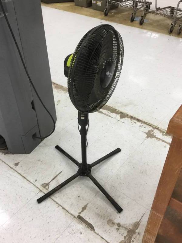 lot 225 image: Fan