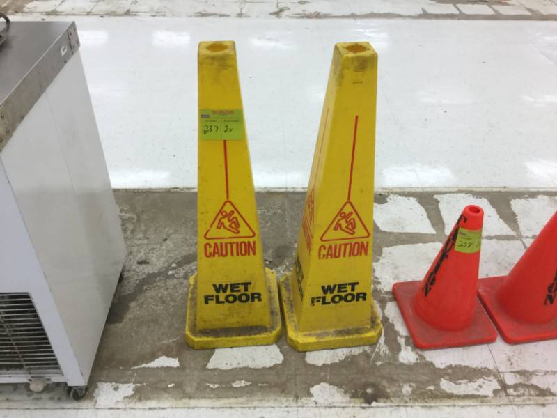 lot 237 image: Floor cones