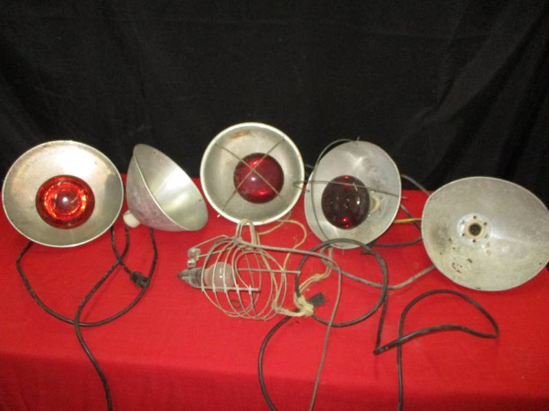lot 110 image: Heat Lamps