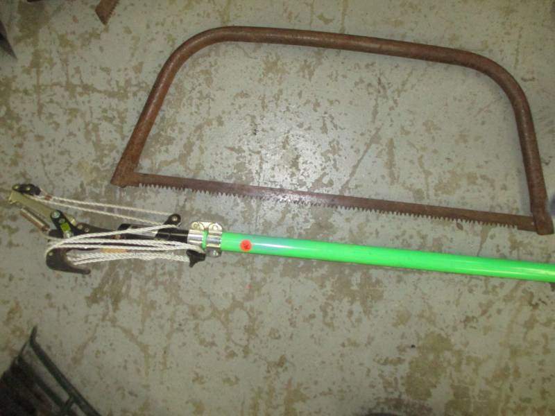 lot 195 image: Tree Trimmer, and Saw
