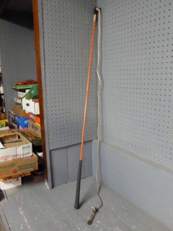 Horse Whip