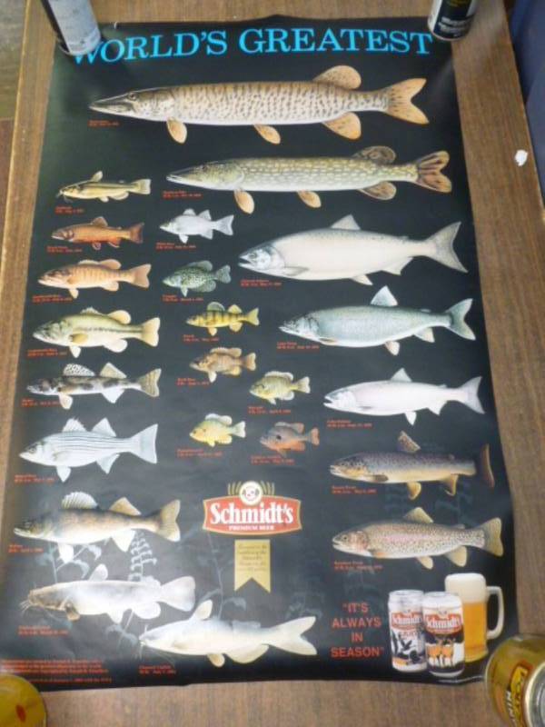 Collectible