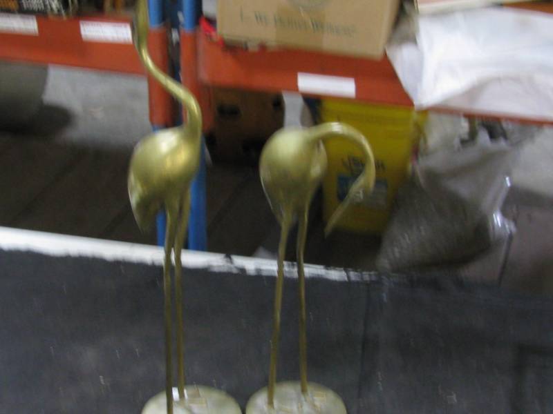 Brass Birds
