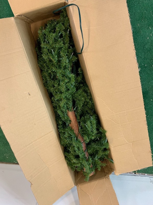 lot 51 image: 7 Natural Alpine Tree