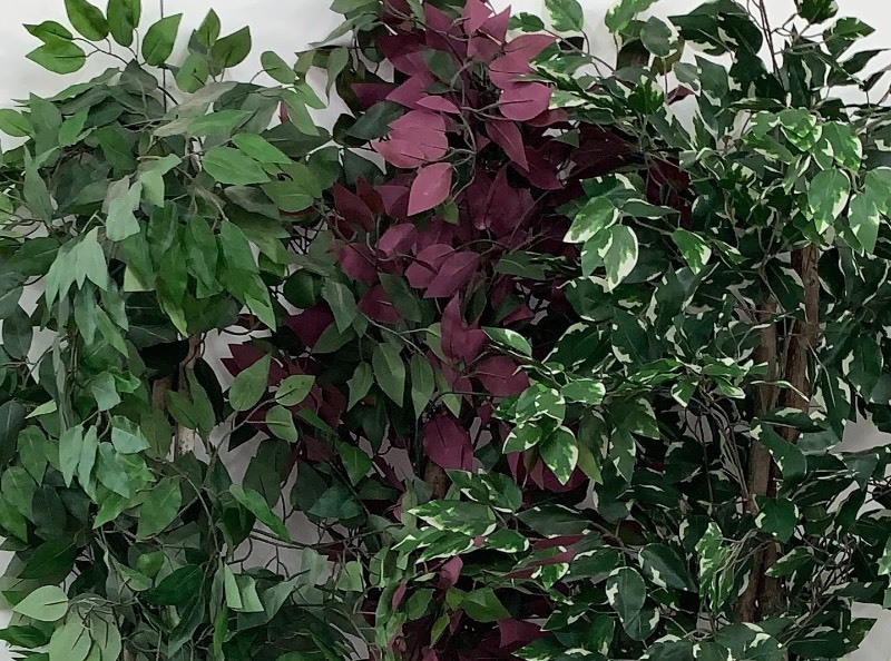lot 6 image: Artificial Plants Set of 3