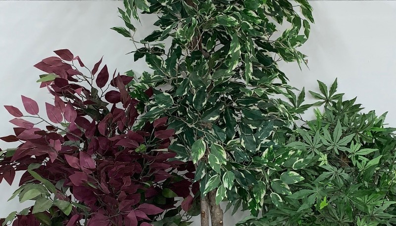 lot 9 image: Artificial Plants Set of 3