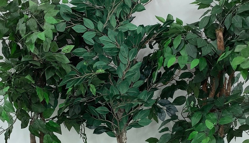 lot 10 image: Artificial Plants Set of 3
