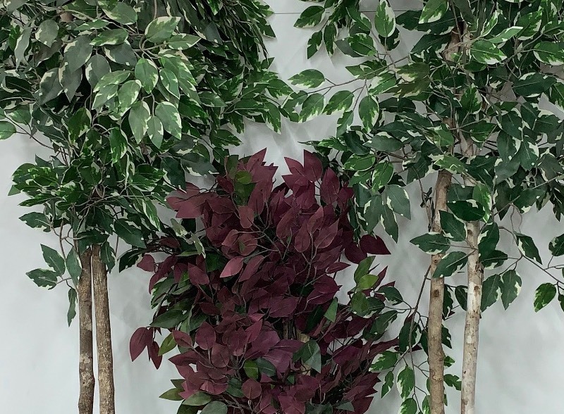 lot 4 image: Artificial Plants Set of 3