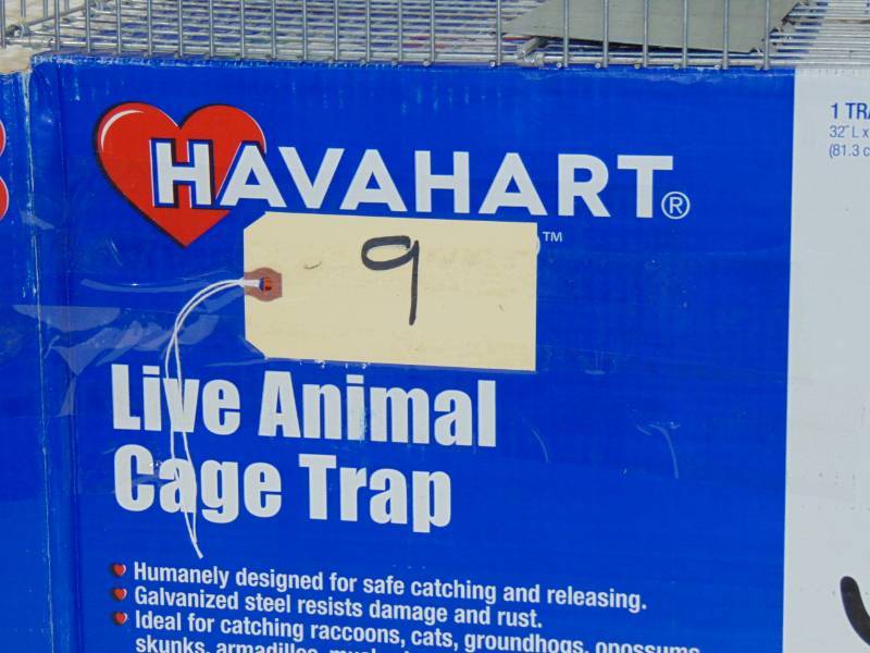 Animal Trap