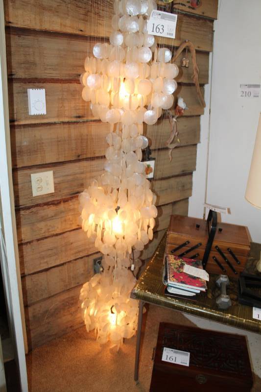 lot 164 image: Cascading Puca Shell