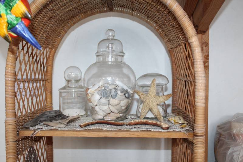lot 180 image: Sea Shells