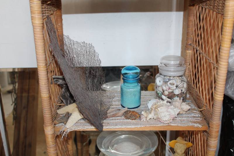 lot 181 image: Sea Shells