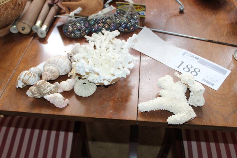 lot 188 image: Sea Shells and Coral Rock