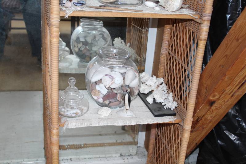 lot 183 image: Sea Shells