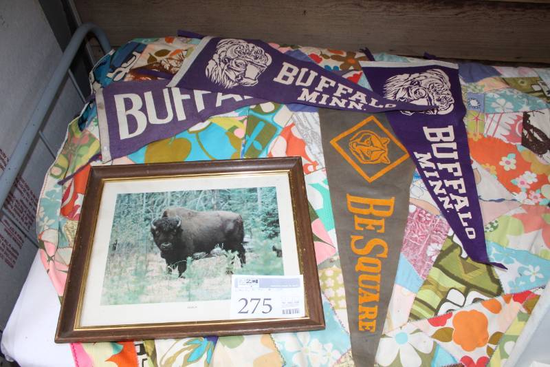 lot 275 image: Bison Framed Wall Art, Buffalo MINN Flags
