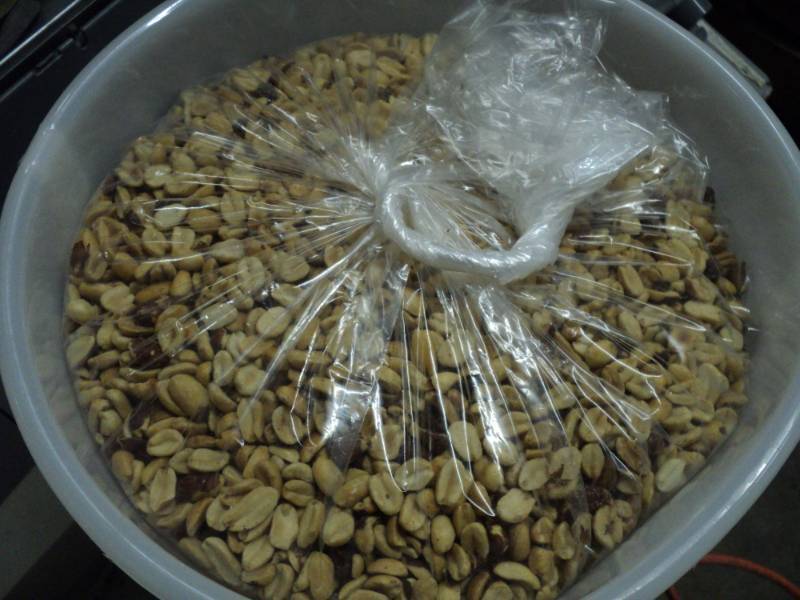 lot 88 image: 15 lbs. Lighted Salted Shelled Pean...