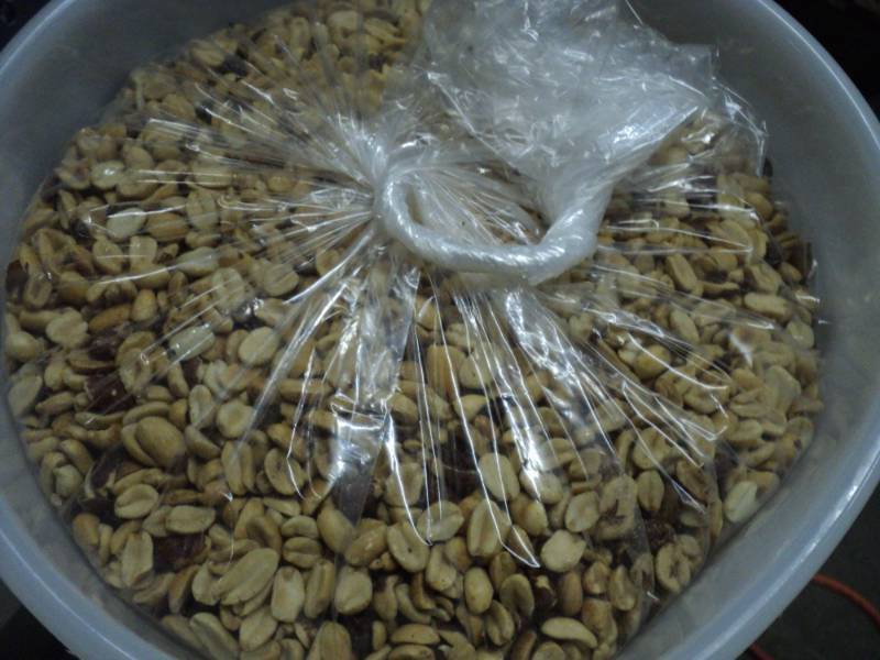 lot 90 image: 15 lbs. Lighted Salted Shelled Pean...