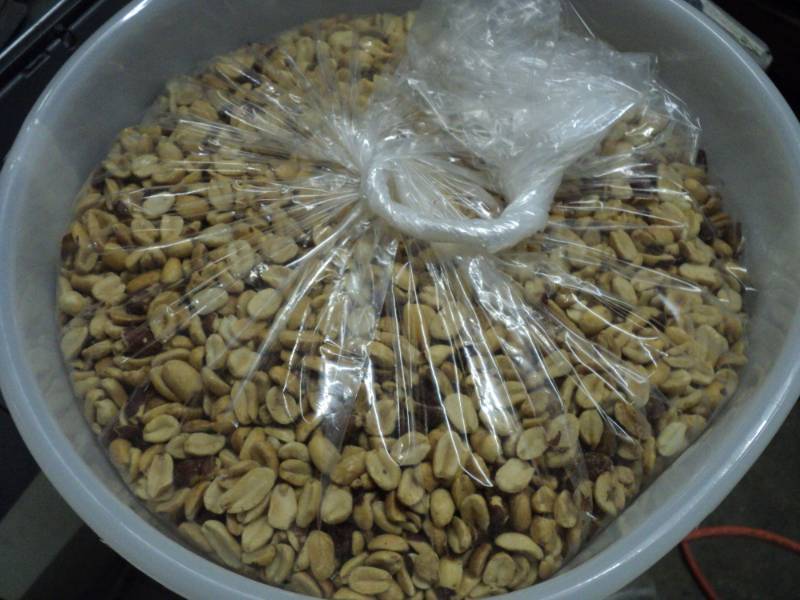 lot 91 image: 15 lbs. Lighted Salted Shelled Pean...