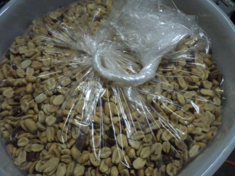 lot 95 image: 15 lbs. Lighted Salted Shelled Pean...
