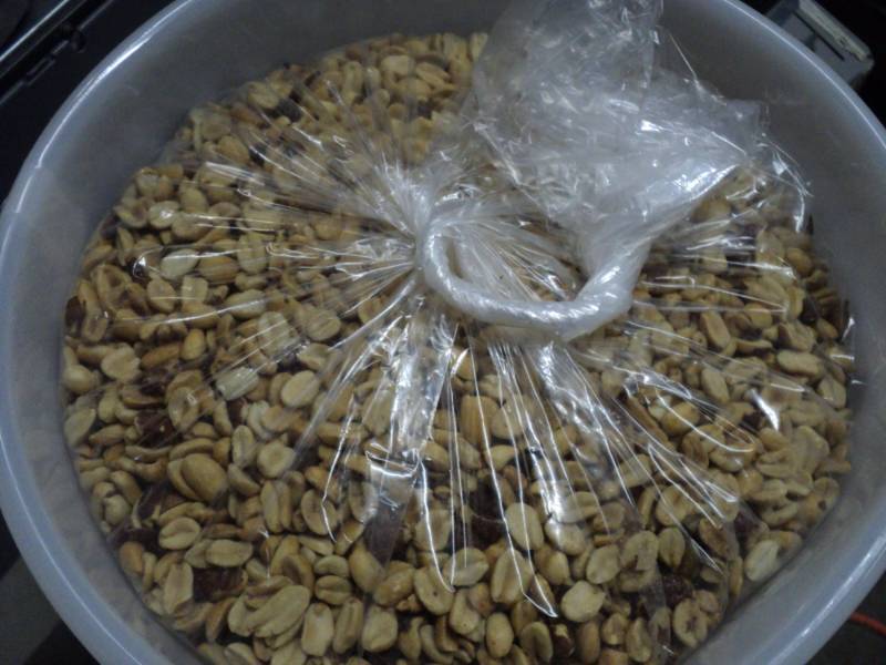 lot 96 image: 15 lbs. Lighted Salted Shelled Pean...
