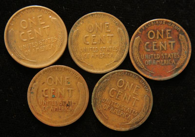 lot 35 image: GROUP OF 5 EARLY WHEATS 1911 1911-D 1919PDS