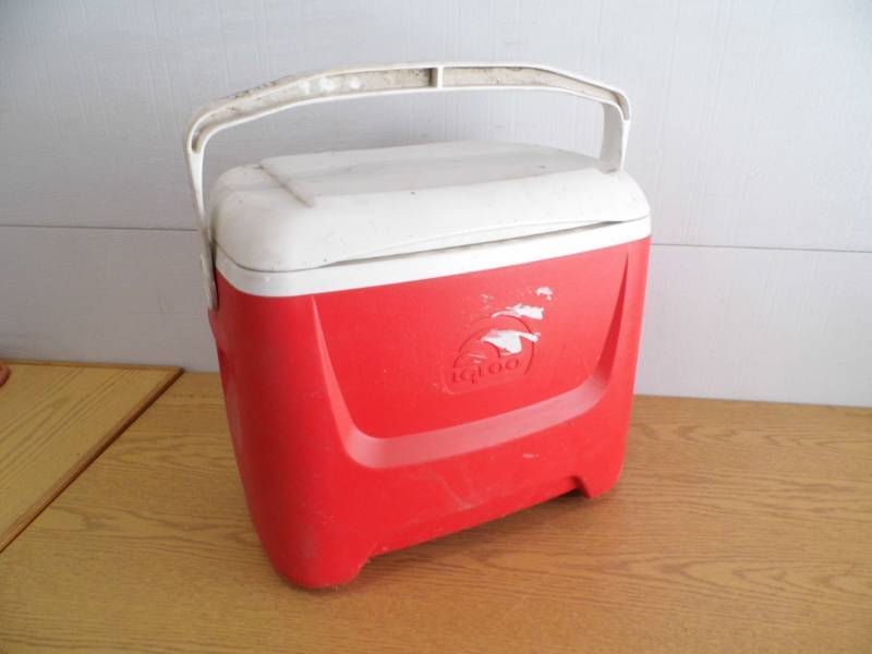 lot 173 image: Igloo Cooler