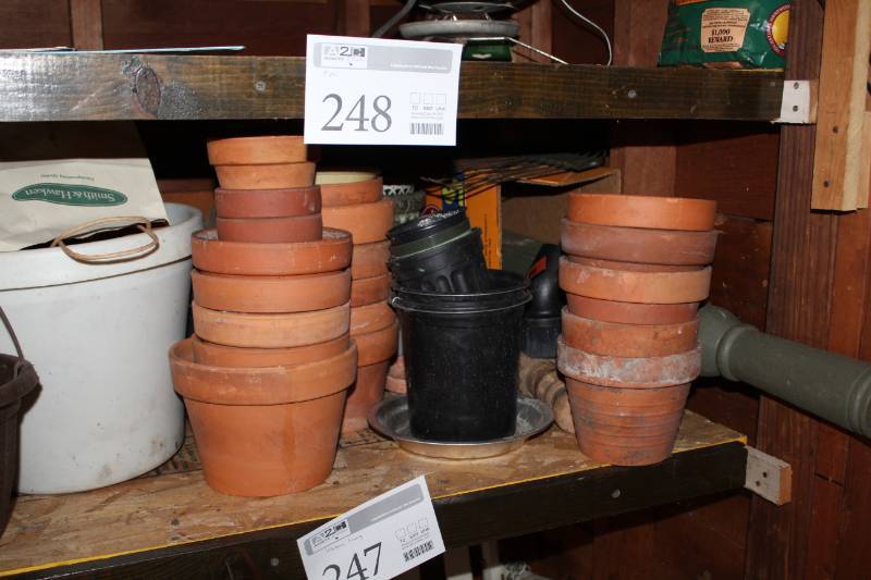 lot 248 image: Plant Pots