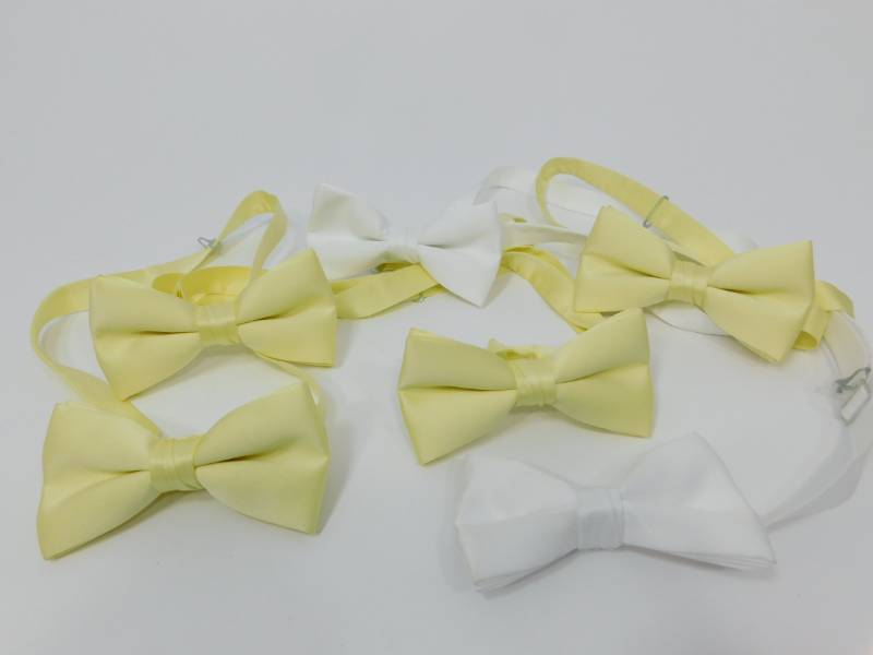 lot 123 image: Ties & Bow Ties For Weddings, Proms & All Special Occasions