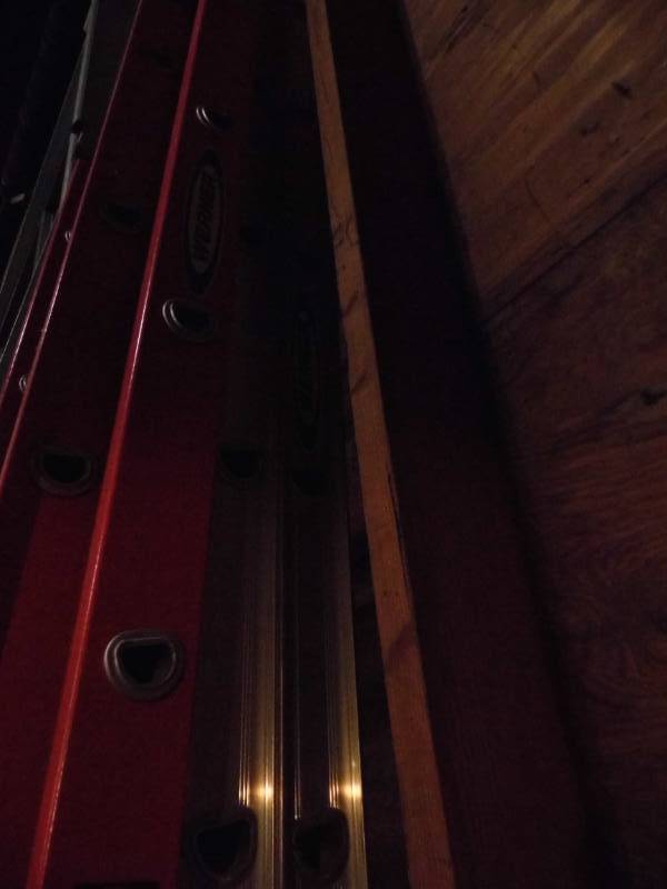 Orange Werner Ladder
