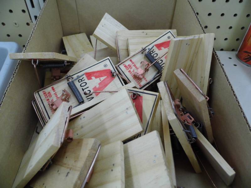 Mouse Traps