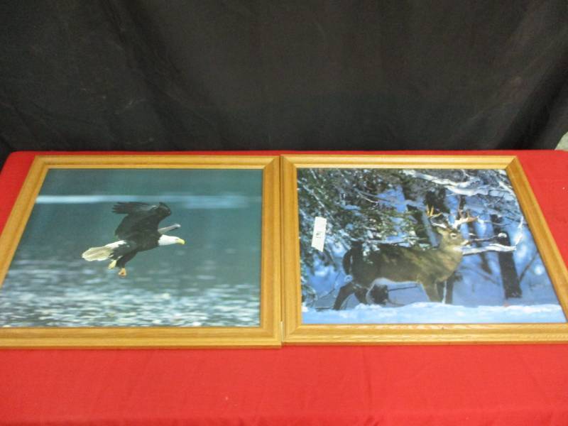 lot 16 image: Deer and Bald Eagle Picture