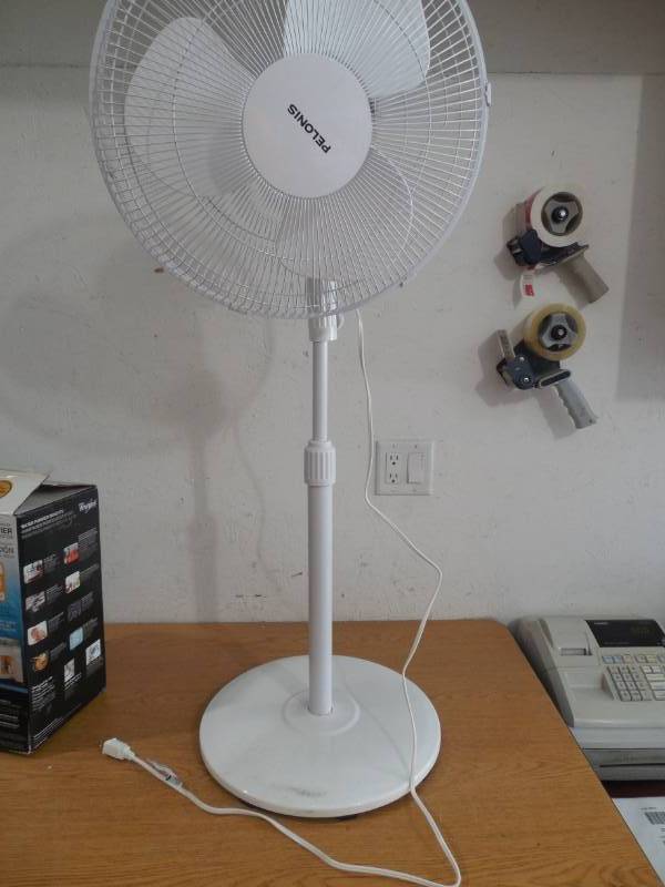 lot 31 image: 16 FAN