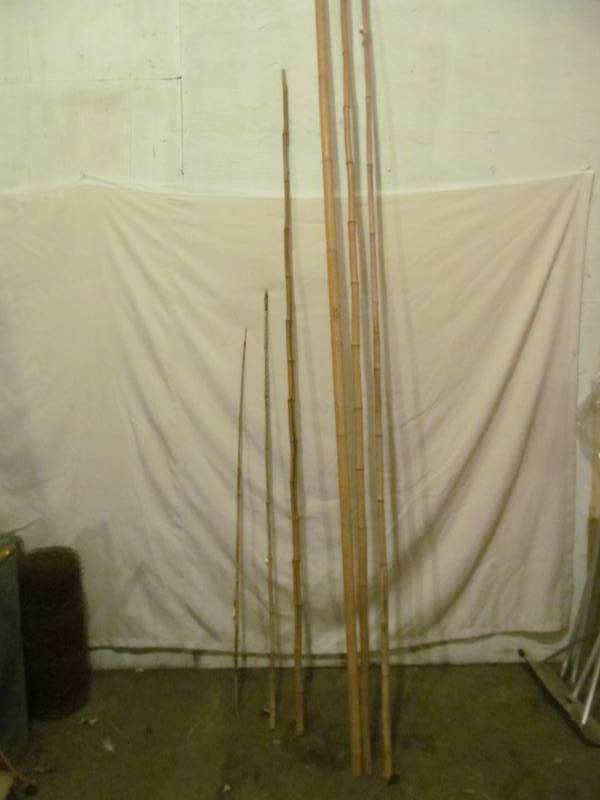 lot 369 image: bamboo poles