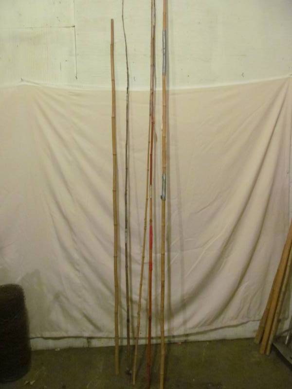 lot 370 image: bamboo poles