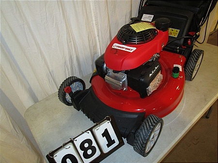 lot 81 image: Troy-Bilt 3-in-1 Push Mower