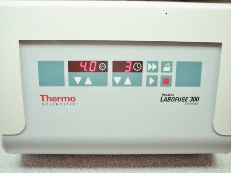 lot 11 image: Thermo Heraeus Labofuge 300 Centrifuge