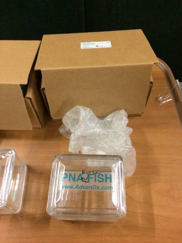 lot 22 image: LOT OF 3 PNA FISH GLASS CONTAINERS WITH LIDS