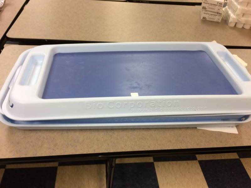 lot 111 image: Lot of Polyethylene Pans With Pads - Large Great For Crafters & Beading