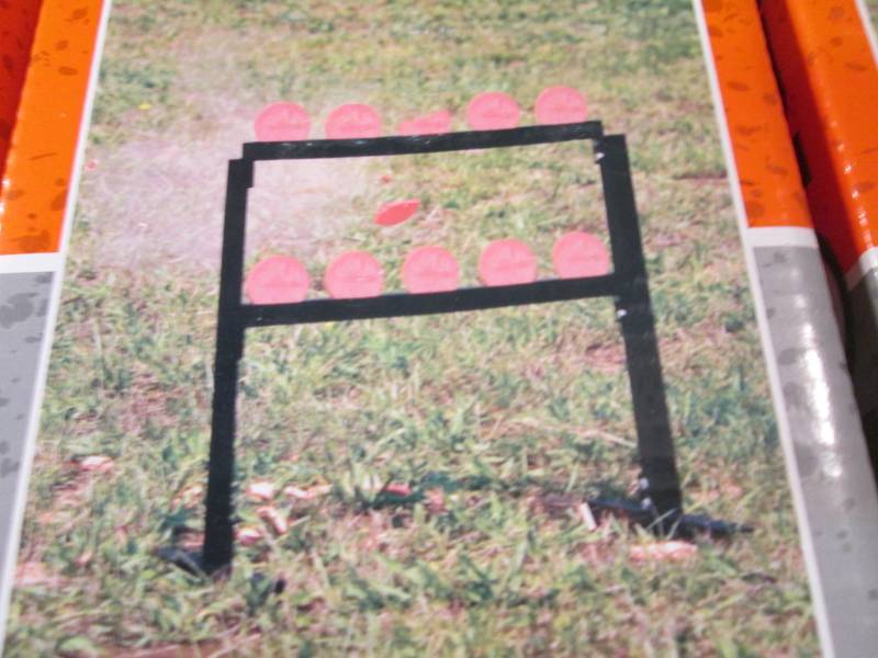 3 Champion Traps and Targets VisiCh...