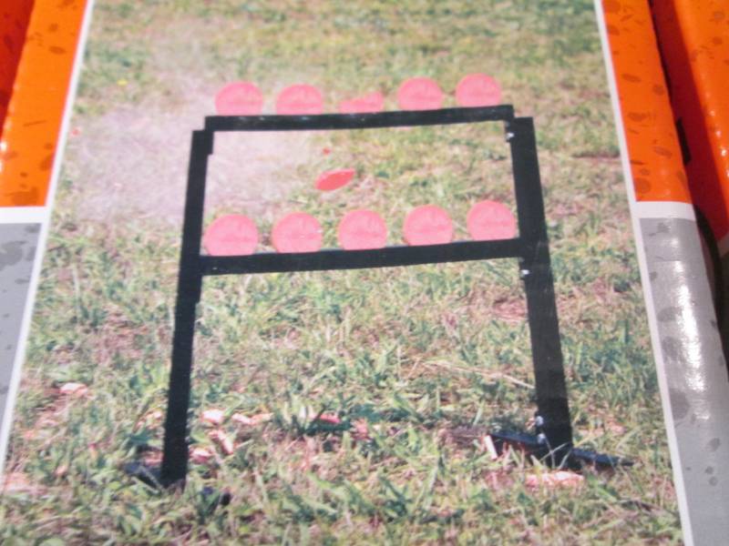 3 Champion Traps and Targets VisiCh...