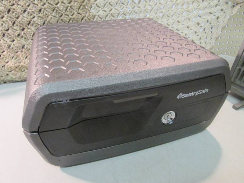 Sentry Safe 0.36 cu ft Fire Safe Wa...