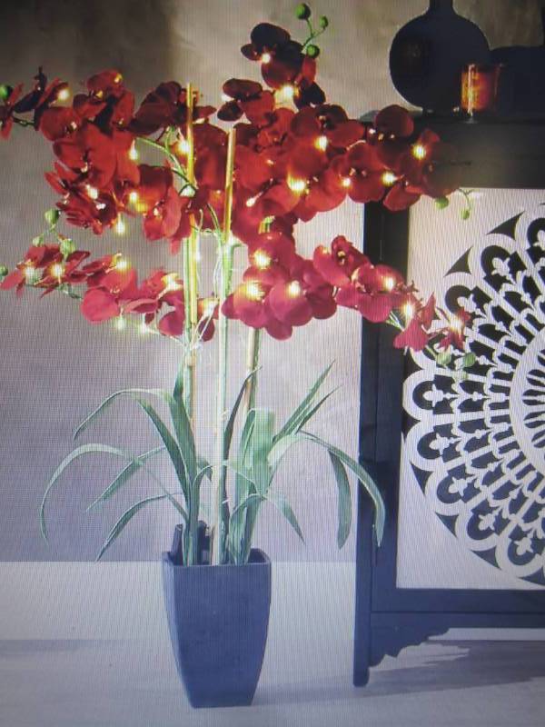 lot 120 image: 36 Lighted Phalaenopsis Orchid ope...