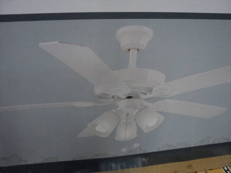 52 Brooklurst White Finish Fan wit...