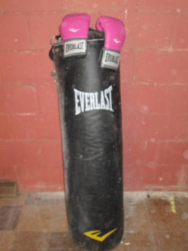 lot 312 image: Everlast punching bag with gloves, ...