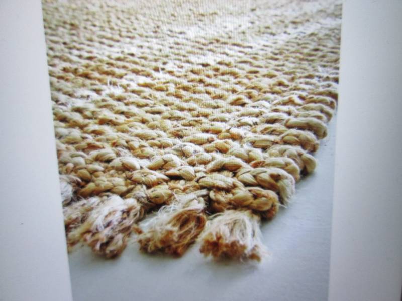 lot 11 image: Home Decorators Collection Braided ...