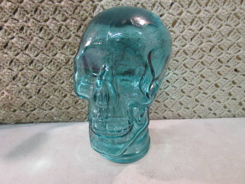 lot 135 image: Glass Display Skull HeadBust 10 1...